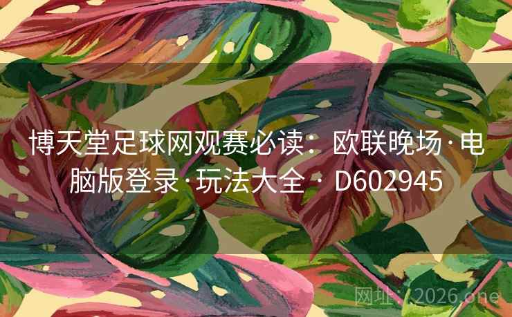 博天堂足球网观赛必读：欧联晚场·电脑版登录·玩法大全 · D602945  第2张