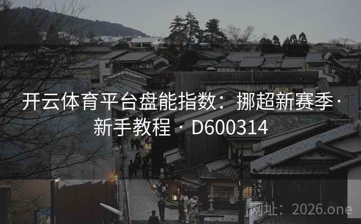 开云体育平台盘能指数：挪超新赛季·新手教程 · D600314