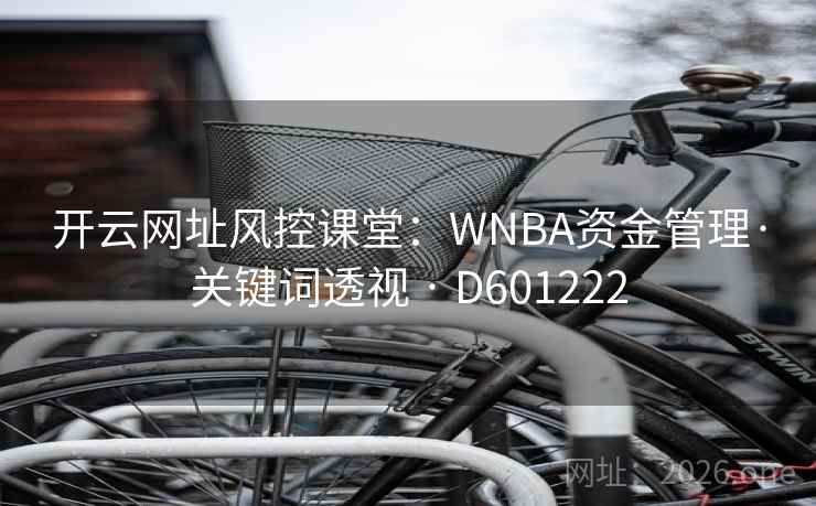 开云网址风控课堂：WNBA资金管理·关键词透视 · D601222