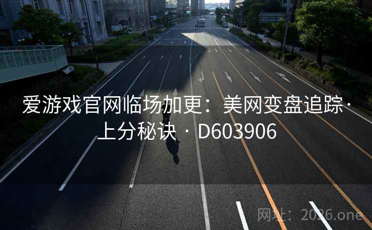爱游戏官网临场加更：美网变盘追踪·上分秘诀 · D603906  第2张