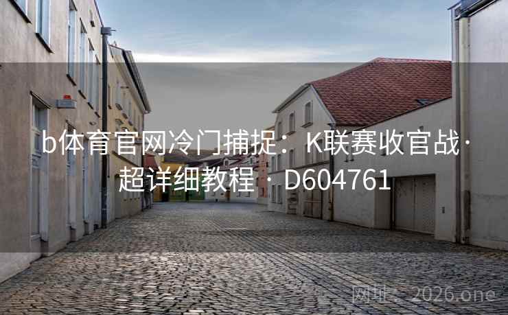 b体育官网冷门捕捉：K联赛收官战·超详细教程 · D604761