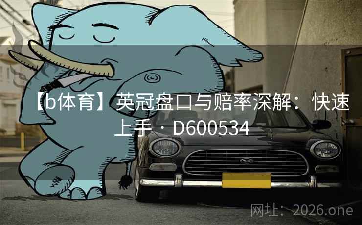 【b体育】英冠盘口与赔率深解：快速上手 · D600534